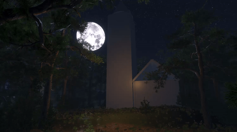 Im Wald ein Zuhause finden